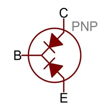PNP Chanel