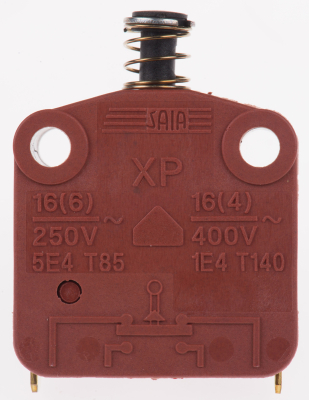SWITCH Door Interlock 16A 250VAC