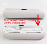 Philips Diamond Smart Clean Charging Travel Case white