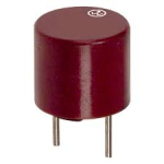 Предпазител RFS-3.15A 250V бърз